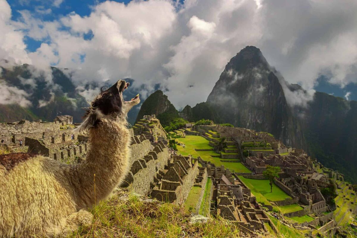 The Ultimate Guide to the Wonders of the World: Ancient, Natural, and New